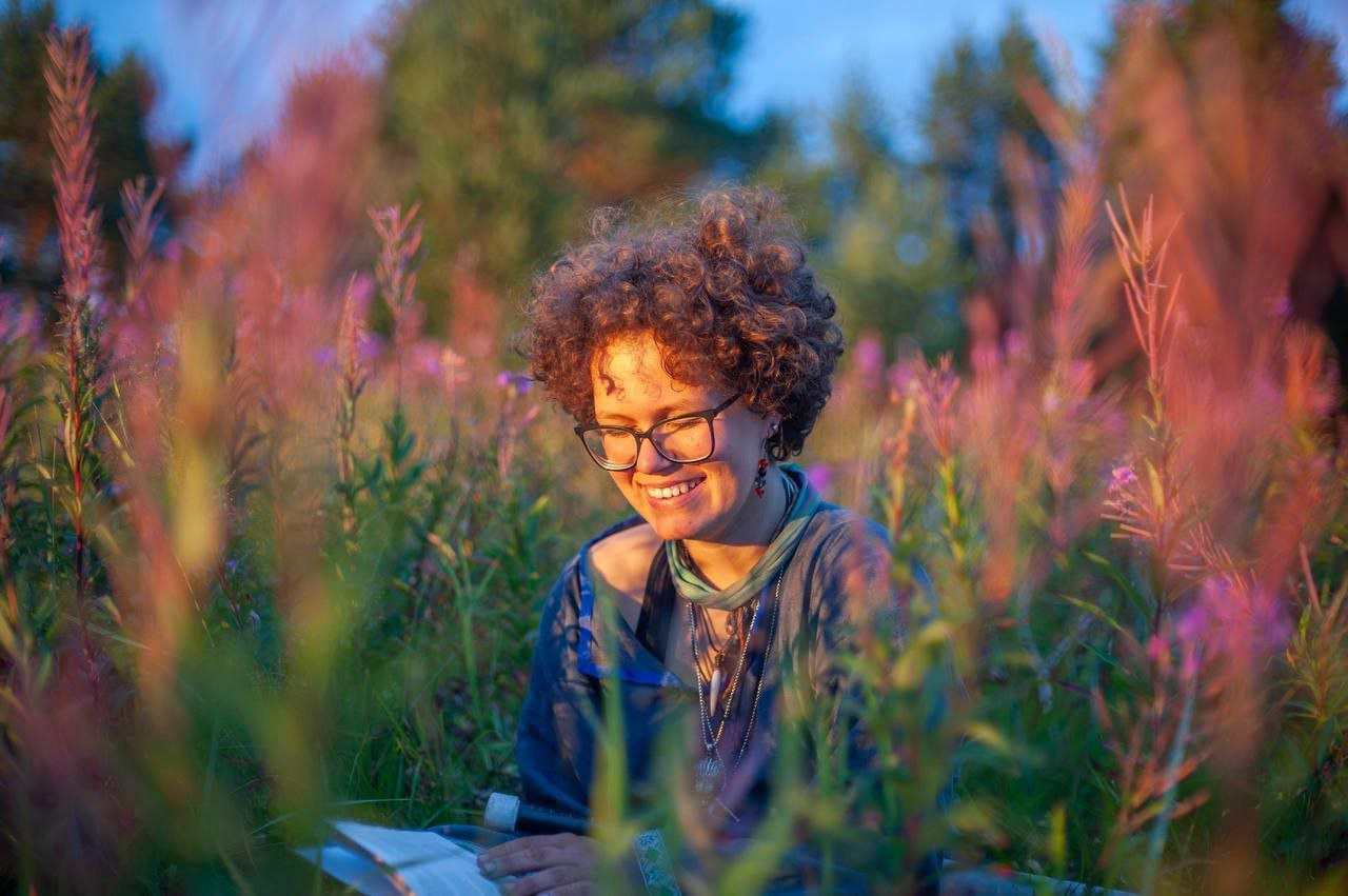 Сага северных земель